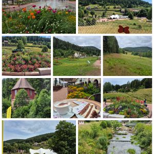 Gatenschau Freudenstadt Beiersbron