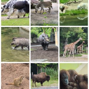 GridArt_20250809_161707826